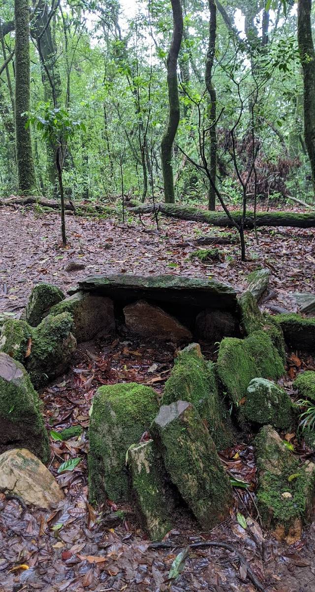Mawphlang Sacred Forest, Synrang Kaban, Meghalaya