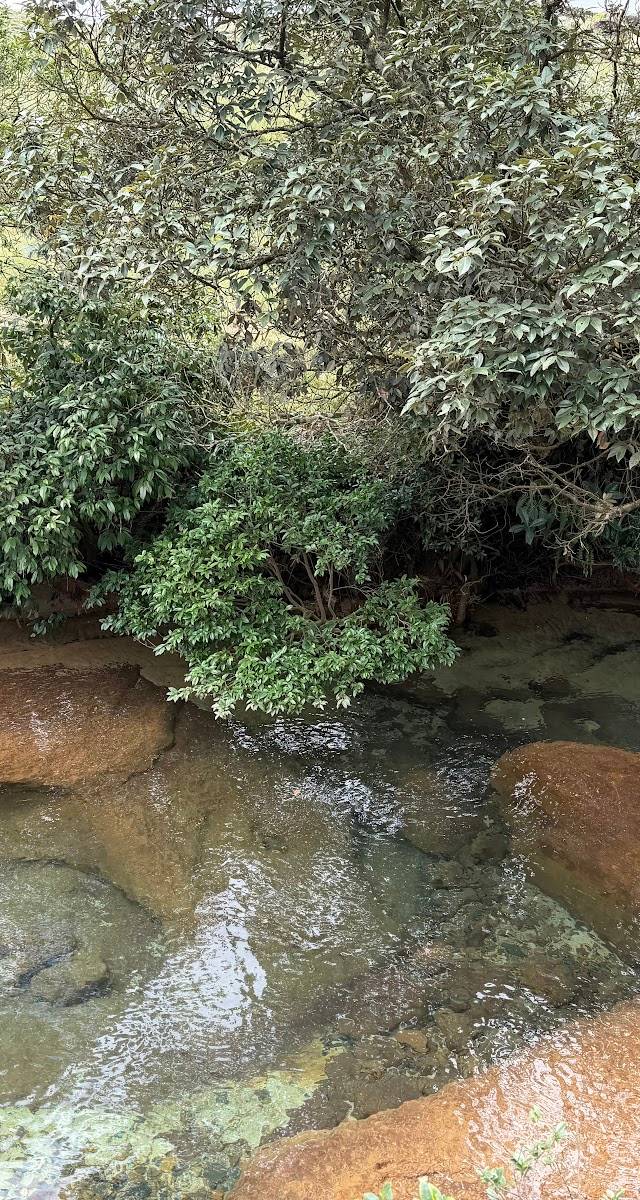 Natural swimming pool, Mawkma, Meghalaya